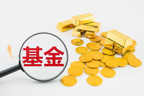 基金净值1.29是什么钱(基金净值129是什么钱币)