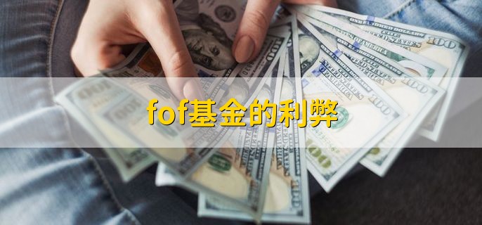 pefof基金净值(基金pe值查询)