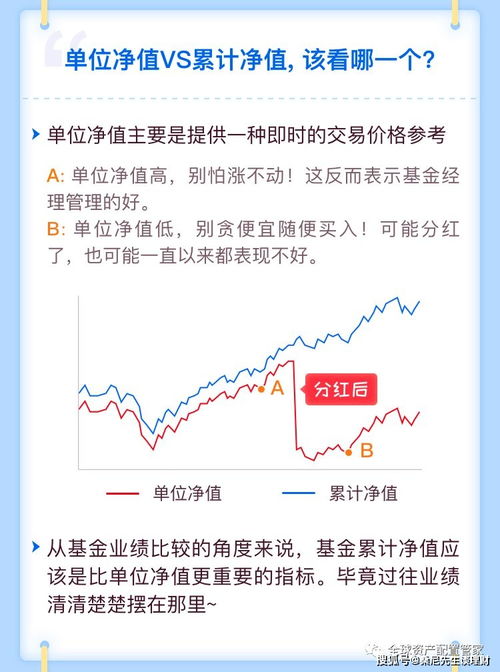 中信通信基金净值查询(中信通讯股票000063行情分析)