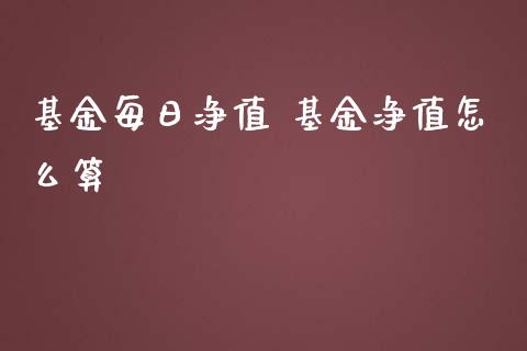 基金净值是怎样得来的呀(基金的净值是怎样算出来的)