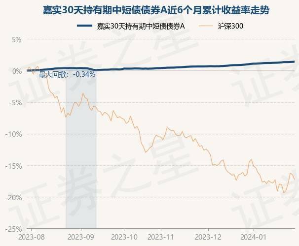 嘉实300基金净值(嘉实300基金净值是多少钱)